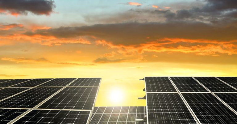 Leia mais sobre o artigo Logística Especializada: A Vanguarda no Transporte de Placas Solares no Brasil